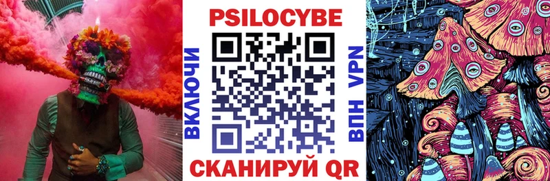 купить наркоту  Покровск  маркетплейс формула  Галлюциногенные грибы Psilocybe 