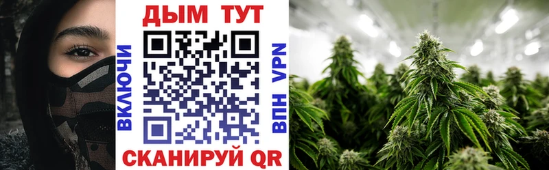 Канабис White Widow наркотики Покровск